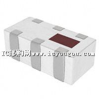 2450LP14B100TDƬ